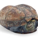 Kinosternon baurii femelle adulte — tortue musquée de Floride